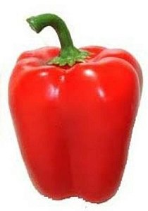 PIMENTÃO VERMELHO - 500 GR