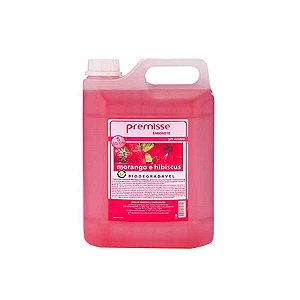 SABONETE LÍQUIDO MORANGO E HIBISCUS 5L