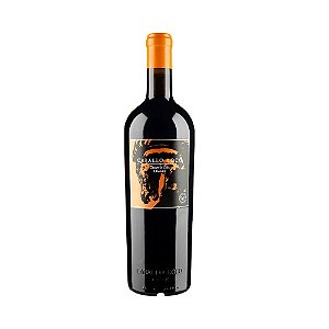 VinhoTinto Seco Caballo Loco Grand Cru Limari 750ml