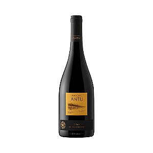 Vinho Tinto Montgras Antu Syrah 750ml