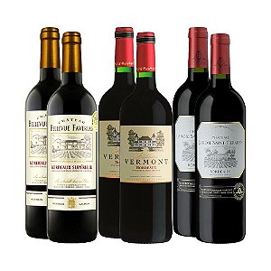 Kit com 06 Vinhos Franceses 750ml - Campeões da França - Importação Própria
