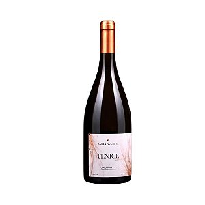 Vinho Branco Seco Santa Augusta Chardonnay 750ml