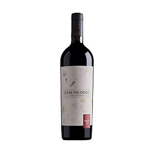 Vinho Tinto Seco Casa Valduga Terroir Exclusivo Cabernet Franc 750ml