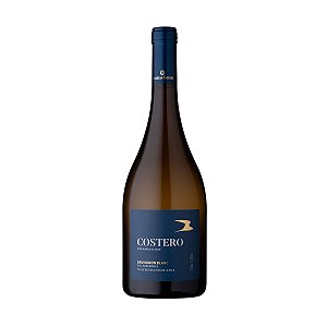 Vinho Branco Seco Mario Geisse Costero Sauvignon Blanc 750ml