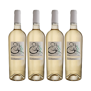 Kit 4 Vinhos Branco Seco Esperanto Pinot Grigio 750ml