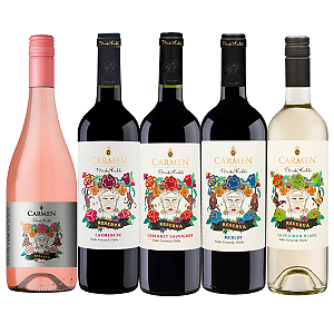 Kit 5 Vinhos Carmen Frida Kahlo Coleção Especial 750ml
