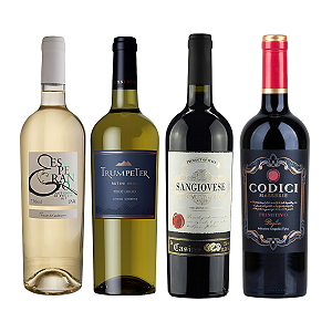 Kit 4 Vinhos Italiano Esperanto Sangiovese Codici Pinot