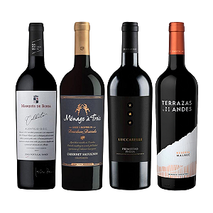 Kit 4 Vinhos Premium Degustação Internacional