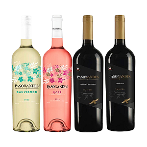 Kit 4 Vinhos Coleção Paso de Los Andes Branco Rosé Tintos
