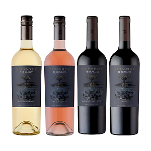Kit 4 Vinhos Morandé Chile Branco Rosé Cabernet Merlot