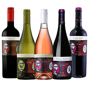 Kit 5 Vinhos Viejo Feo Degustação Completa