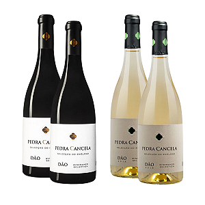 Kit 4 Vinhos Pedra Cancela Seleção do Enólogo