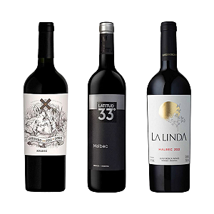 Kit 3 Vinhos Malbec Argentinos Seleção