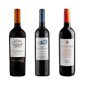 Kit 3 Vinhos Tintos Meio Secos – Perfil Macio