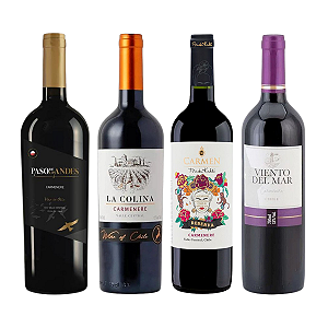 Kit 4 Vinhos Carmenere do Chile