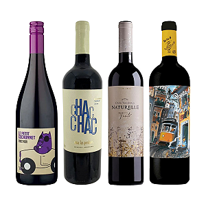Kit 4 Vinhos Jovens e Frutados – Seleção 4 Países