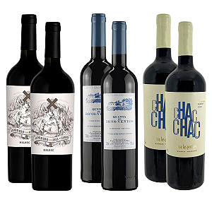 Kit 6 Vinhos para Churrasco – Seleção Intensa e Versátil