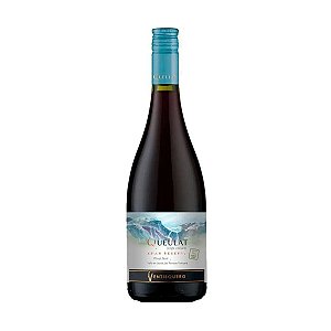 Vinho Tinto Seco Ventisquero Queulat Gran Reserva Pinot Noir 750ml