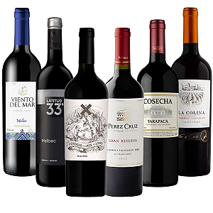 Kit 6 Vinhos Malbec & Cabernet – Seleção Argentina & Chile