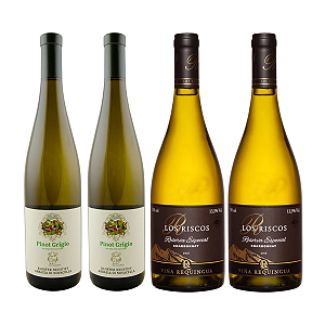 Kit 4 Vinhos Brancos Premium Pinot Grigio e Chardonnay