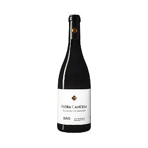 Vinho Pedra Cancela Seleção do Enólogo 750ml