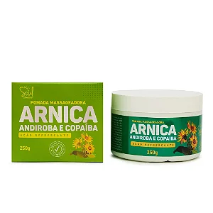 Pomada Massageadora Arnica 250g - Soul