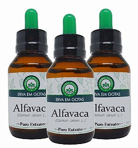 3 Extratos de Alfavaca - 60ml