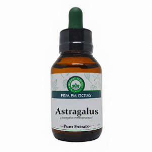 Astragalus - Extrato 60ml