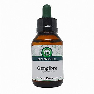 Gengibre - Extrato 60ml