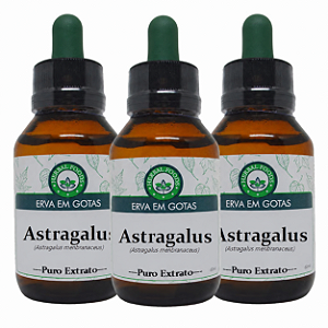 3 Extratos de Astragalus - 60ml