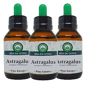 3 Extratos de Astragalus - 60ml