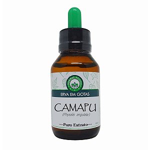 Camapu (Physalis angulata) - Extrato 60ml