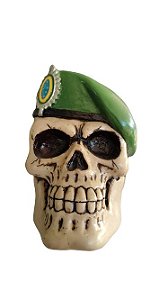 CAVEIRA BOINA VERDE