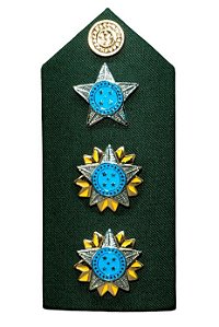 PLATINA TENENTE CORONEL