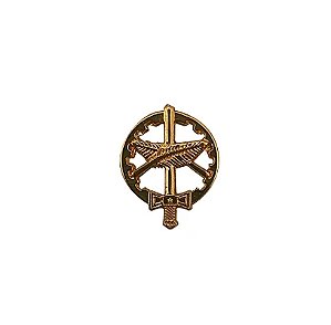 DISTINTIVO DE METAL QAO DE GOLA