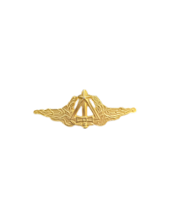 DISTINTIVO DE METAL ESAEX DE PEITO