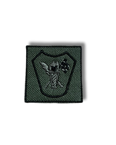 BORDADO AUXILIAR DE PRECURSOR (BOLSO)