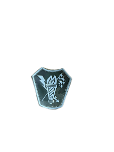 EMBORRACHADO AUXILIAR PRECURSOR NEGATIVO