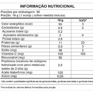 Collagen Pro Beauty Blend Roma C Hibisco 540g - Puravida