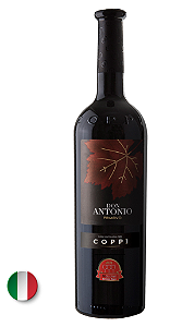 Primitivo Don Antonio IGP