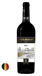 Castel Bolovanu Novac