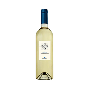 Vinho Branco Italiano Lungarotti Umbria Grechetto