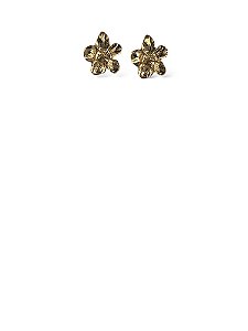 Brinco Folheado 18k Flor