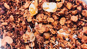 Granola de cacau premium 100g