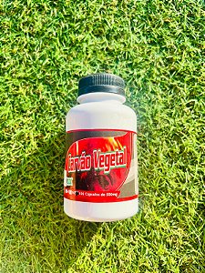 100 cápsulas de carvão vegetal 500mg