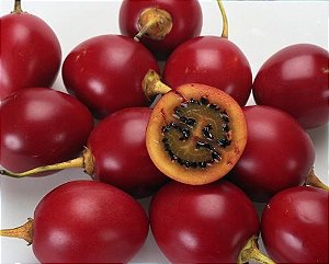 Sementes de Tamarillo (Tomate Árvore): 5 Sementes