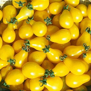 Sementes de Tomate Yellow Plum: 20 Sementes