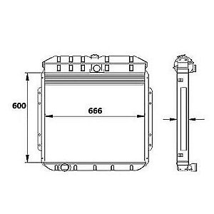 Radiador Agua Ford F11000