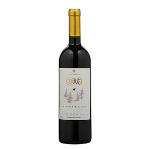 Santini Vinho Tinto Cerro Marselan 2018