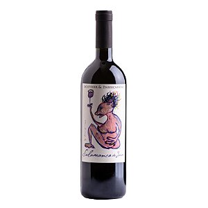 Routhier & Darricarrère Vinho Tinto Salamanca do Jarau Cabernet Sauvignon 2018